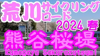 熊谷桜堤 2024年春 桜満開ライド 荒川サイクリングロード 荒サイ KUMAGAYA SAKURAZUTSUMIARAKAWA CYCLING ROAD