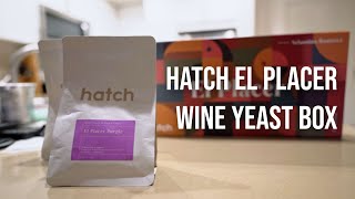 Coffee or Cough Syrup? - Hatch El Placer Box Tasting (Canada)