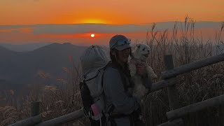 🐕은동이 Vlog -민둥산 백패킹 편-