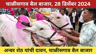 🛑Live चाळीसगाव बैल बाजार | 28 डिसेंबर 2024 | अनवर शेठ यांची दावन 😍 Chalisgaon bail bazar 🥰 #बैलखरेदी