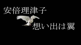 安倍理津子　想い出は翼　カラオケ