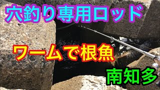 南知多 穴釣り専用ロッドなら冬でも釣れる？ワームで根魚