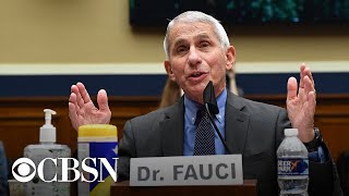 Watch live: Fauci and health officials update Senate on returning to work and school amid COVID