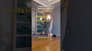 #1분기초요가강좌D44#어깨서기,쟁기자세#아사나의어머니,완벽의자세