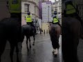 police horses horse Guards parade #horseguardsparade