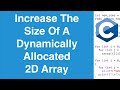 Increase The Size Of A Dynamically Allocated 2D Array | C Programming Tutorial