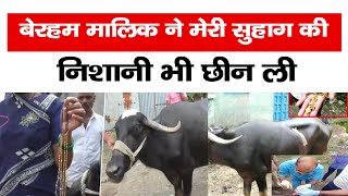 Maharashtra: सोने का मंगलसूत्र खा गई भैंस, फिर क्या हुआ? देखें Video | OMG | Viral | Shocking