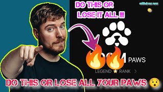 DO THIS OR LOSE ALL YOUR PAWS POINTS | HOW TO QUALIFY FOR PAWS AIRDROP | #paws #listing #telegram