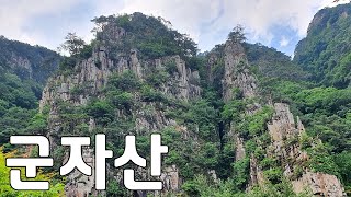 맨발이의 한국 산행 50번째 산행! l 군자산 l 아름다운 관경 l 무더위 등산 l 푸름이 가득한 산! l 등린이 추천 산!