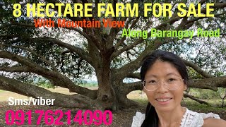 Vlog462: 8 HECTARE FARM WITH MOUNTAIN VIEW ALONG BARANGAY ROAD FOR SALE BATANGAS PHILIPPINES