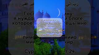 Дуа из Корана (28:24) #ислам #duasfromquran #quran #дуа #дуаизкорана #крепостьмусульманина #хадис