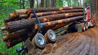 Amazing Dangerous Skill Biggest Logging Truck Operator, Fastest Climbing Monster Wood Truck Driving