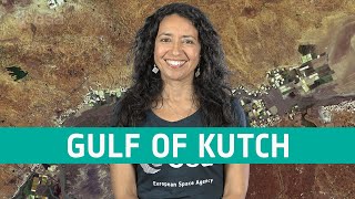 Earth from Space: Gulf of Kutch