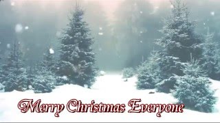 Wishing Everyone A Merry Christmas