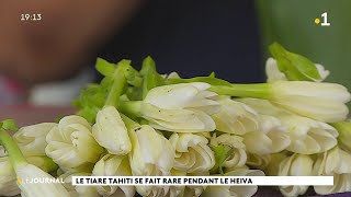 Heiva i Tahiti : à la recherche des tiare Tahiti