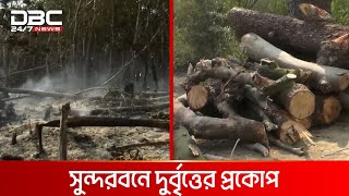 সুন্দরবনের সামনে আগুন দিয়ে ভেতরে দুর্বৃত্তরা কাটছে হাজারো গাছ | DBC NEWS