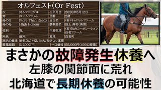 【一口馬主】まさかの故障発生「オルフェスト」復帰はGW頃か？ここで故障もこの休養で強くなれば復帰戦で圧勝もあり得ると信じて待つのみ