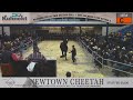 sale of daft horses 2024 keystone draft horse sale