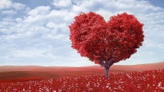 Peaceful music, Relaxing music, Instrumental Musc "Endless Love"  Happy Valentines Day