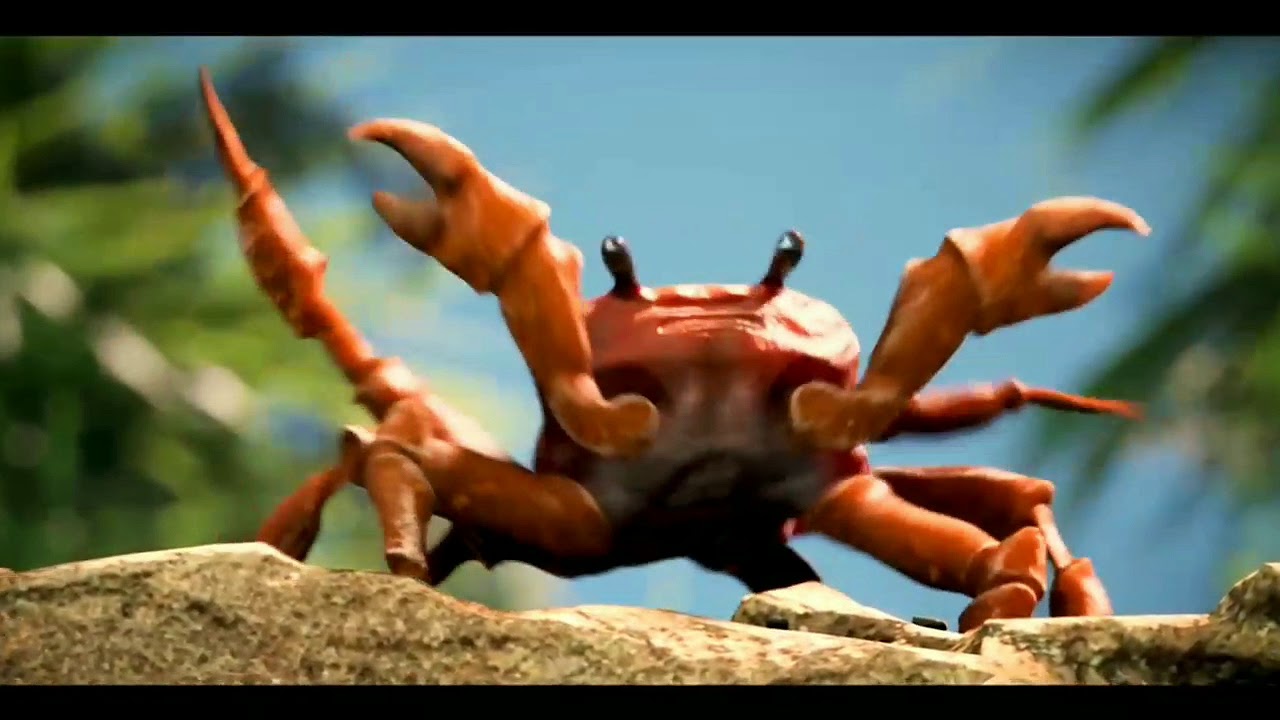 Crab Rave Official Music Video Youtube