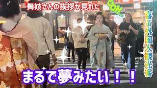 舞妓さんの挨拶が見れた🤝まるで夢みたい‼️喜ぶ外国人観光客👘