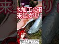 ｗｗｗライフハック動画にツッコム新人vtuber