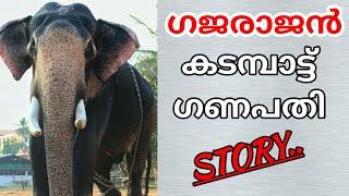 ഗജരാജൻ കടമ്പാട്ട് ഗണപതി|kadambatt Ganapathy💘STORY💕 RS CREATIONS💕