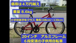 RITEWEY ZIT 20　小学校低学年クラスの子供用自転車　アルミフレーム 重量 8.6kg 　６段変速