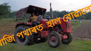 ( টেক্টৰে হাল বোৱা ) Paddy field preparation