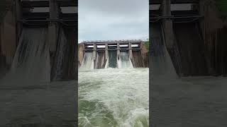 Velugodu Reservoir 3 Gates Opened #reservoir #velugodu #nandyal #fishing #nature #mansoon