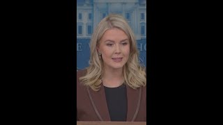 White House says newly released Epstein emails are a ‘manufactured hoax’ by Democrats
