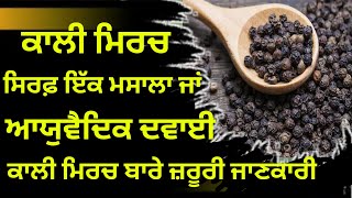 Health benefits of black pepper | ਕਾਲੀ ਮਿਰਚ ਖਾਣ ਦੇ ਫ਼ਾਇਦੇ ਅਤੇ ਜ਼ਰੂਰੀ ਜਾਣਕਾਰੀ | kali mirch