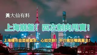 026上海崩盘！4次割肉甩卖！卖不掉！中介疯狂嘲讽！没成交，没客户，没行情，上海韭菜被套牢！心如刀割！