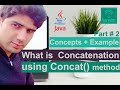 What is concat() method in java or how to use concat() method in java | Part 2 | Naryabit