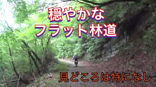 【伊豆】穏やかなフラット林道