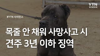 목줄 안 채워 사망사고 시 견주 3년 이하 징역 / YTN 사이언스