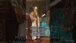 EFENDİMİZİN DOSTU HAZRETİ EBUBEKİR #islam #peygamber #efendimiz #shorts #ebubekir