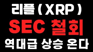 [리플코인] SEC 철회 ! 역대급 상승온다 ! (불독코인,비트코인,급등코인,코인단타)