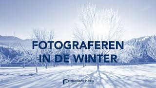 Fotograferen in de Winter - Tips om de Mooiste foto's te maken