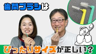 【歯間ブラシはぴったりサイズを使用するのが正しいでしょうか？】予防歯科マイスター天野教授に聞く！歯科衛生士さんからの質問編