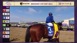 Golden Pal wins Breeders' Cup Turf Sprint (Gr.I) race 5 at Del Mar 11/6/21