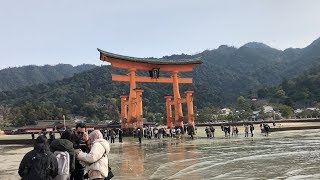 広島 宮島 厳島神社 - Itsukushima Shrine, Miyajima, Hiroshima