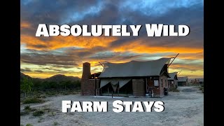 Absolutely Wild Farm Stays near Barrydale on the exhilarating Route 62