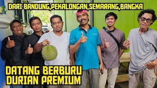 🟠🟠RAMAI PENGUNJUNG DARI LUAR KOTA BERBURU DURIAN DI KEBUN 💯‼️