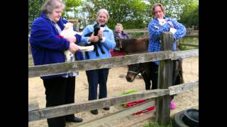 High Oaks Care Home Norfolk - Activities