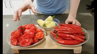 Fermented Hot Sauce - Pickels Pickles (Episode Six)