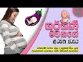 Sri Lankan Moms Pregnancy Period 8 month (29 - 32 week) in sinhala |Sri lankan moms |SL The Bro™🇱🇰