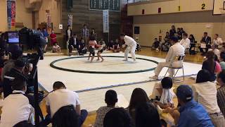 ３年生４年生女子決勝戦_平成２９年　わんぱく相撲　札幌場所