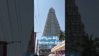 కోరిన కోర్కెలు తీర్చే అరుణాచల క్షేత్రం #arunachalam #tamil #viralshort #chaganti