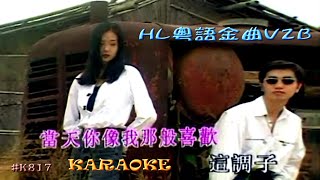 KARAOKE粵語流行曲精選之HL粵語金曲V2B (有人聲及歌詞字幕) Cantonese Pops with Lyrics Subtitle-Various Artists